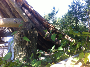 sprocket on roundwood rafter