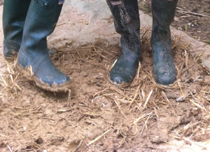 Mixing daub using feet