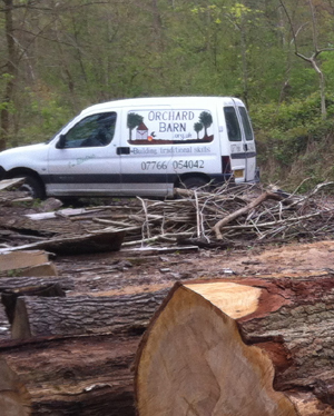 electric van in woodland