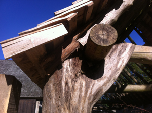 shorter roundwood sprocket