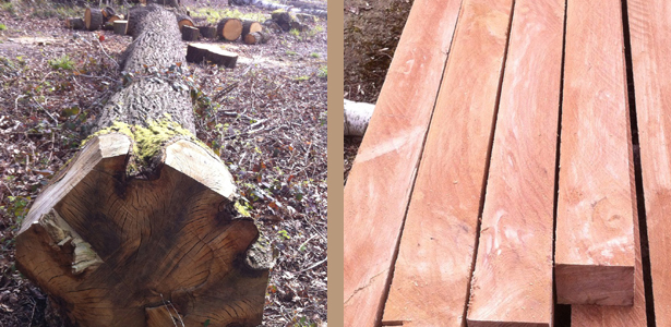 jowl tree and green oak joists