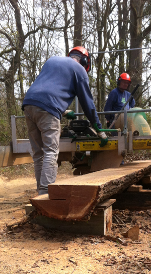 lucas mill green oak joists