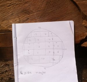 plan of joists from tree