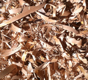 wood shavings