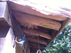 sprockets on tool shed roof