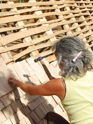 shingle roof