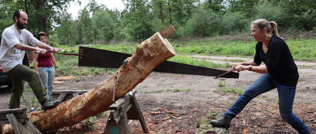 hand converting timber