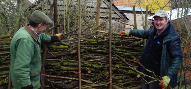 Sean and Garry construct a deadwood screen